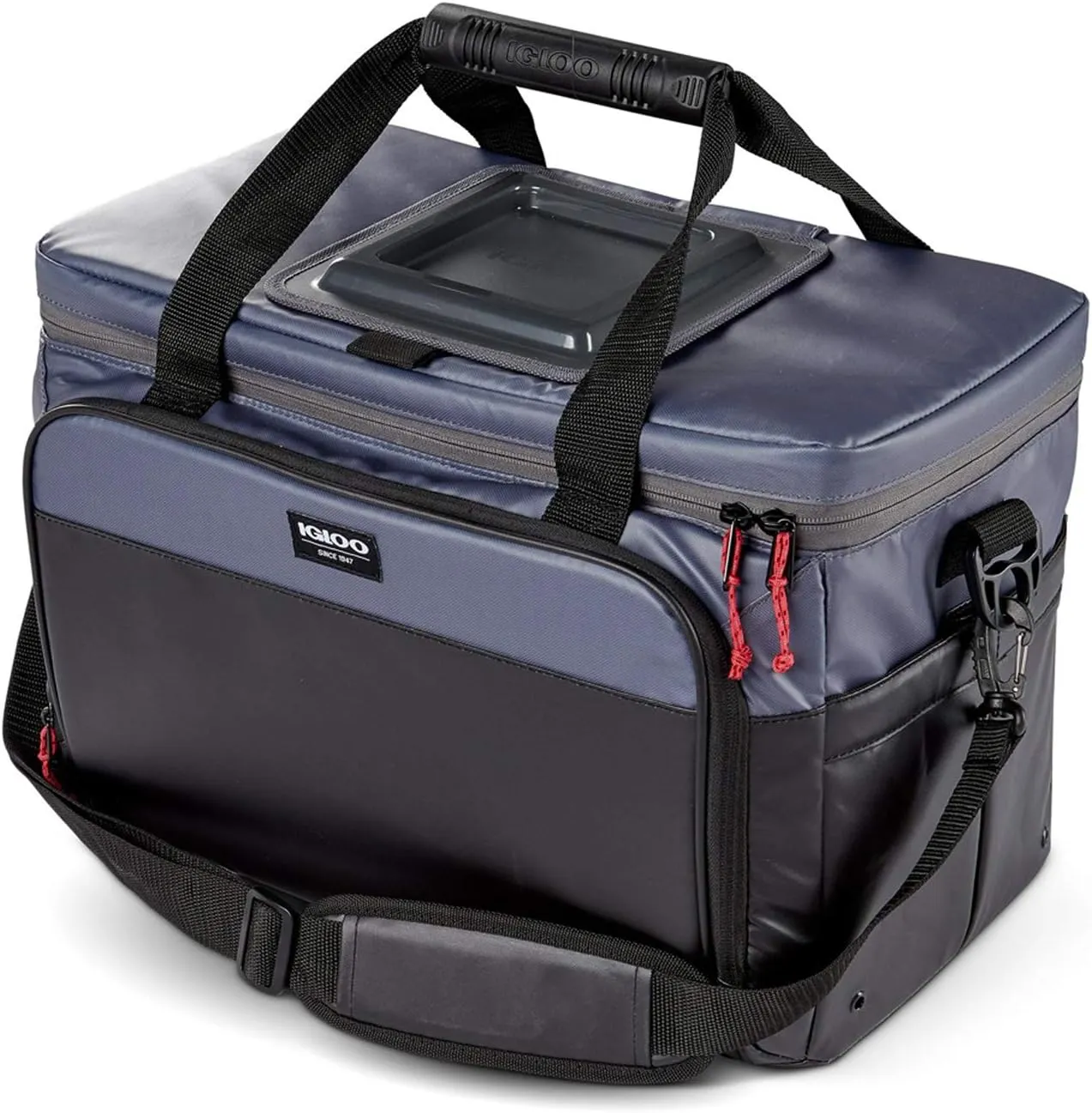 Igloo Southcoast Soft Coolers (14-36 Can)