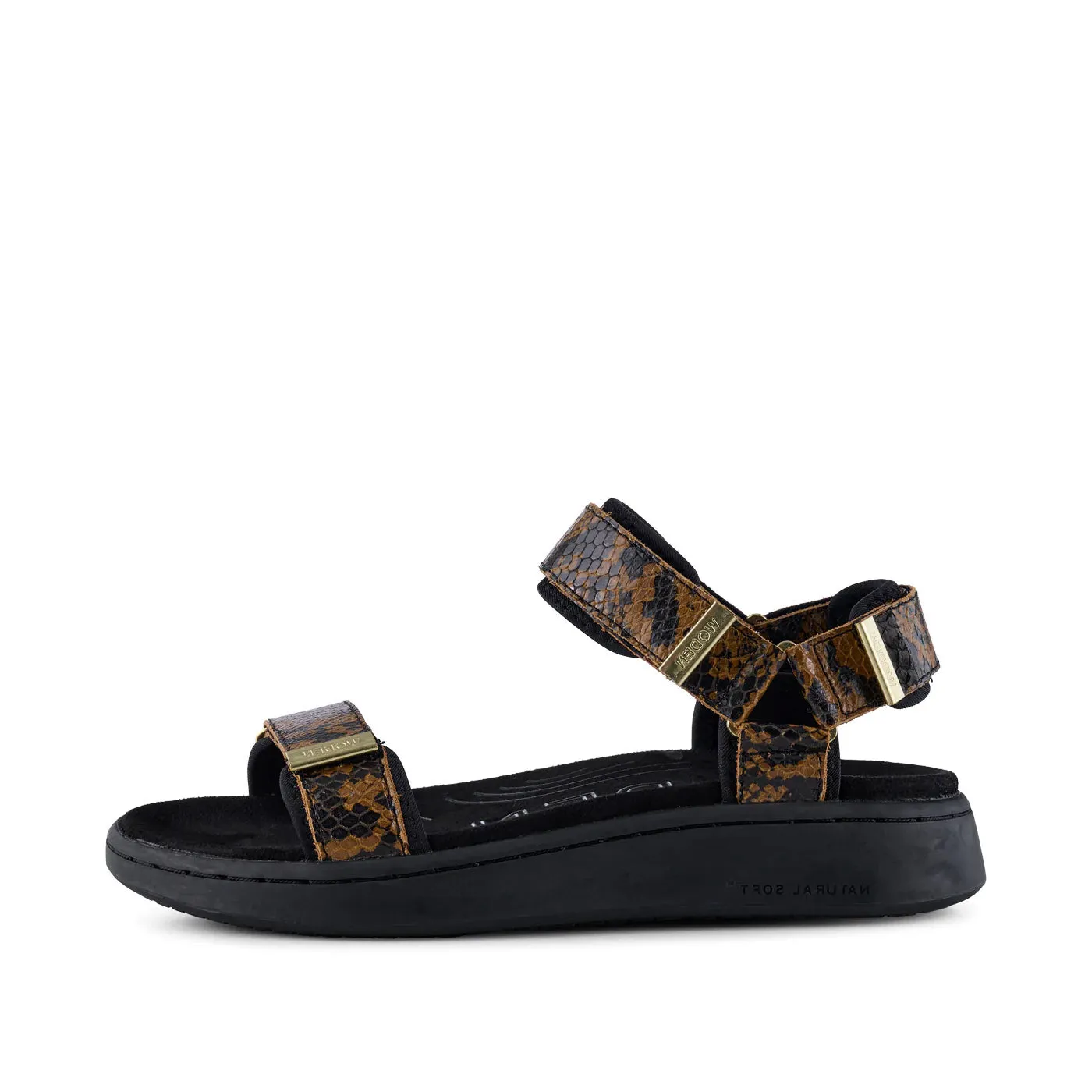 Line Snake - Brown Snake