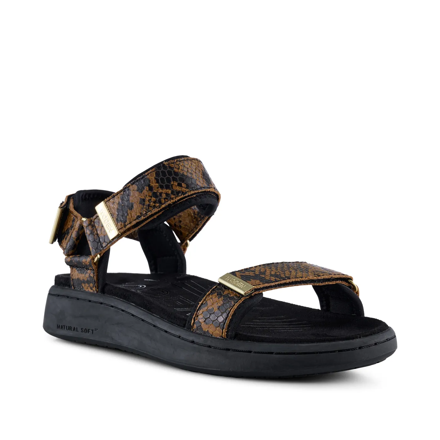 Line Snake - Brown Snake