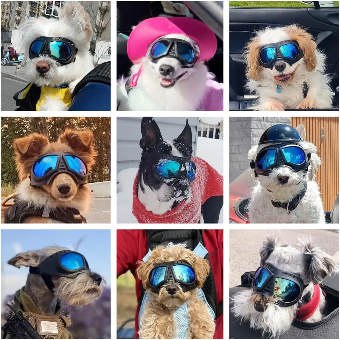 NAMSAN Dog Goggles Small Breed, UV-Protection Doggie Sunglasses for Small to Medium Dogs, Soft Doggy Eye Protection, Anti-Fog Anti-Dust Windproof Snowproof, Adjustable Straps, Blue Lens
