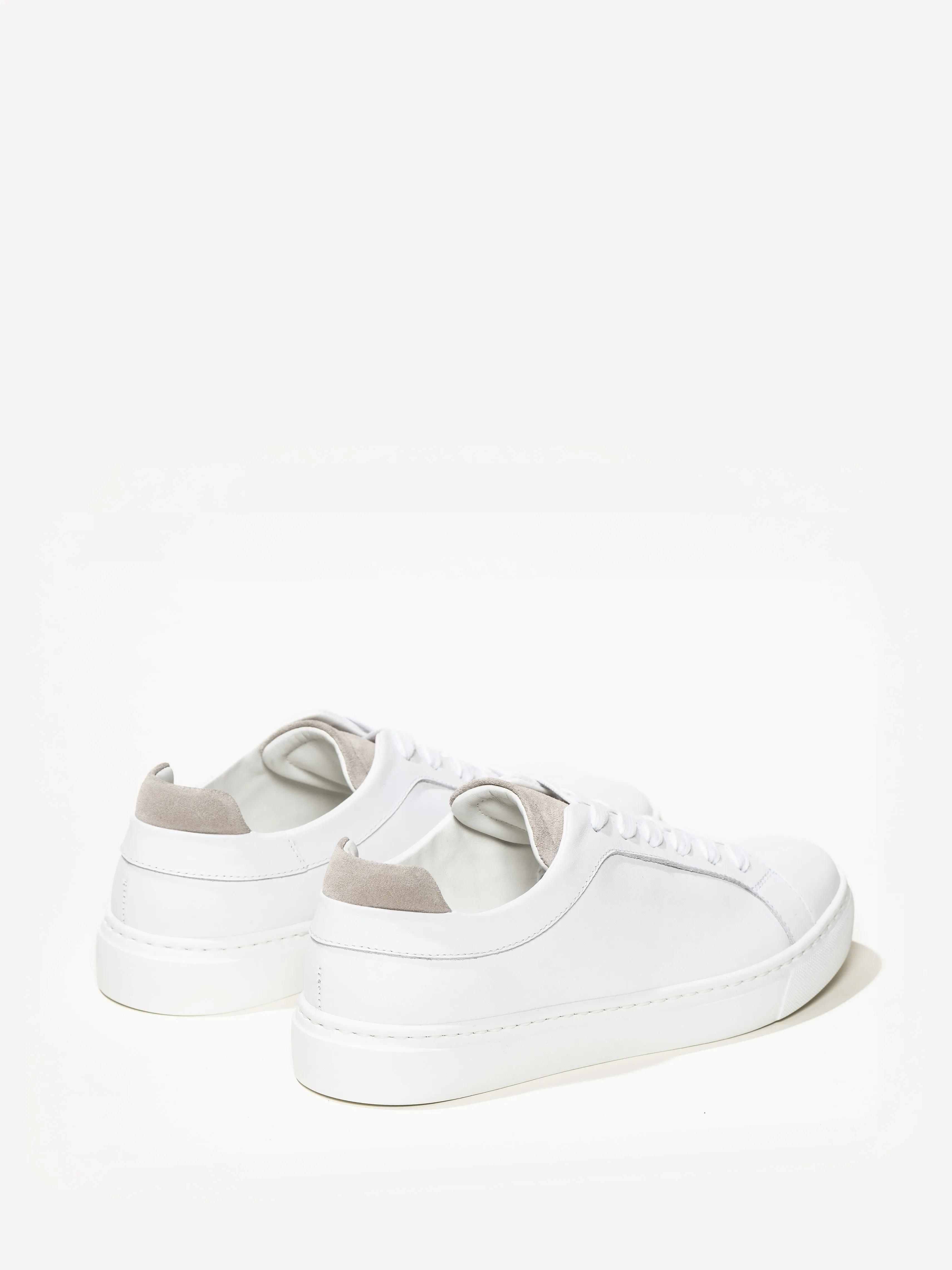 The Palestra Due (Sample Sale)