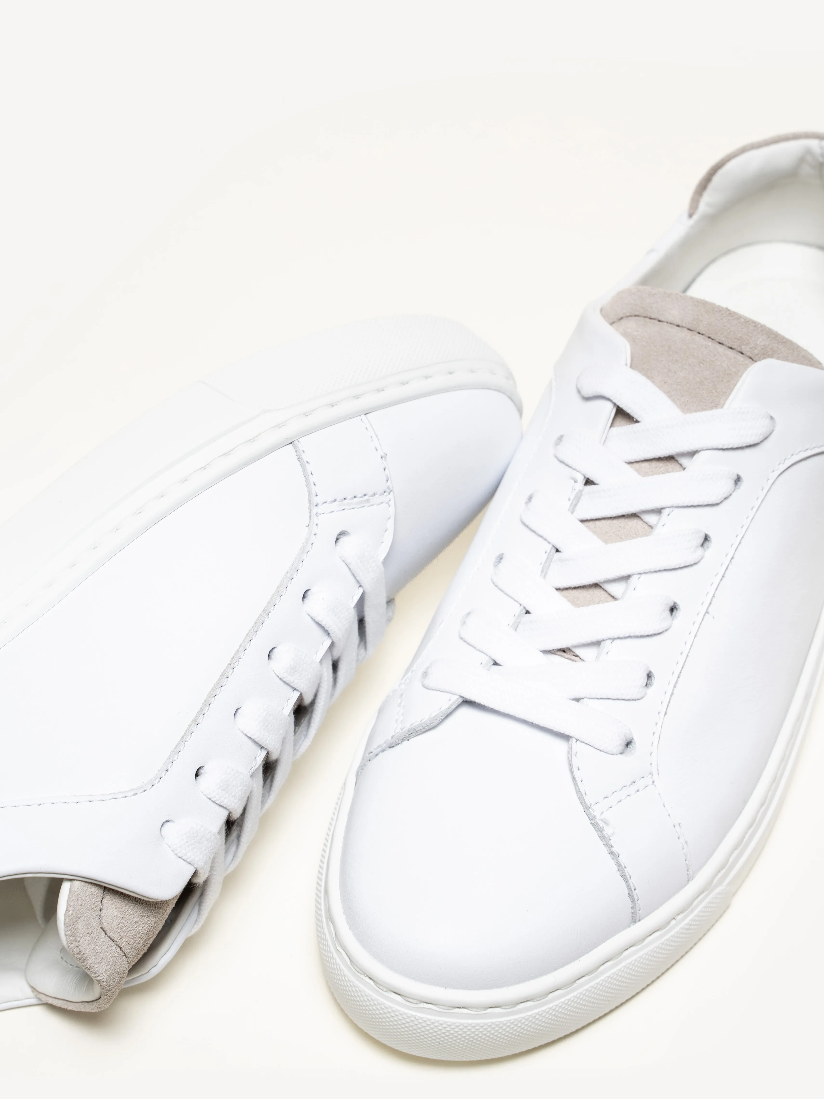 The Palestra Due (Sample Sale)