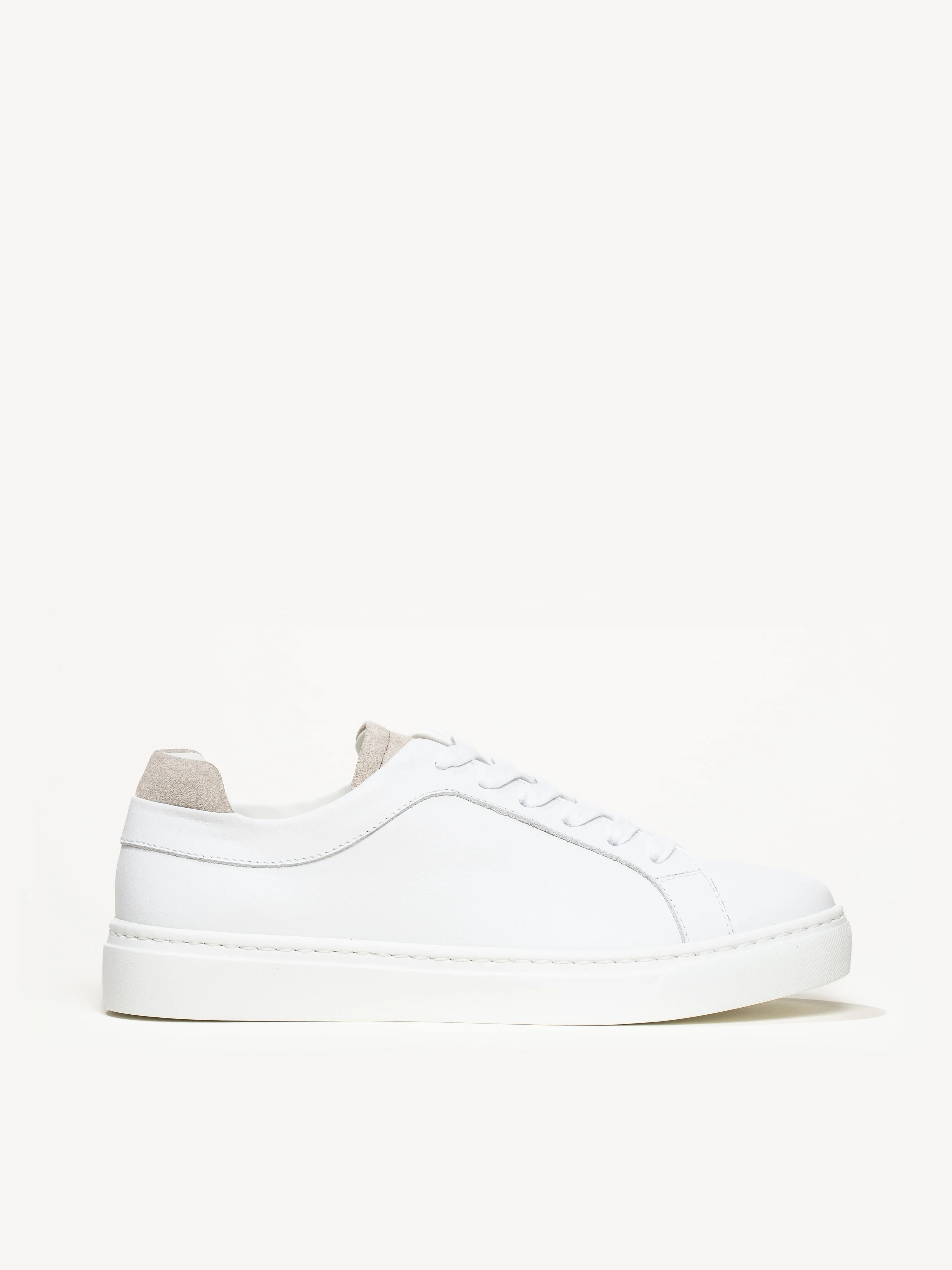 The Palestra Due (Sample Sale)